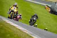 Middle Yellow Group 2
